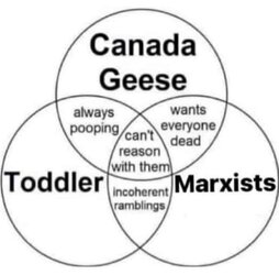 GFcbYMPXQAAggp-.jpeg