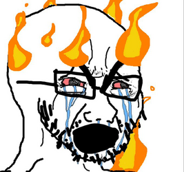 1708979987316.png