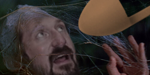 Flydo.jpg