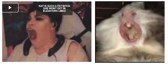 guineapig.png