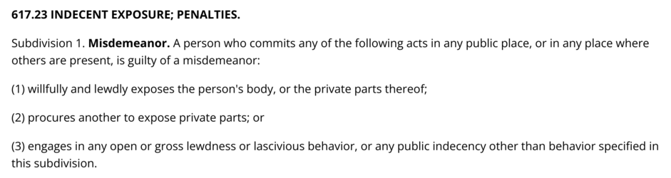 mnstatutes1.png