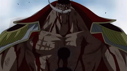 one-piece-is-real-one-piece.gif