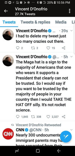 VincentD'OnofrioPast Beliefs1.jpg