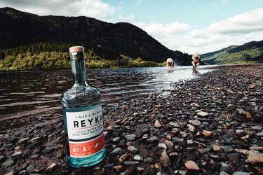 ReykaVodka-Em4MMszXMAI9RPG-H-80863f76ea4a4a4296d921d48073789f.jpg