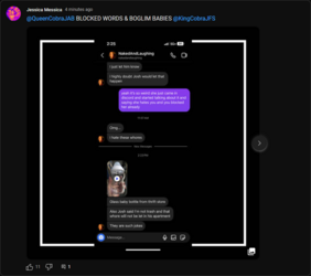 Screenshot_2024-02-28 Jessica Messica.png