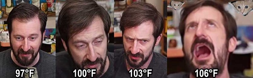 balldotemp.jpg