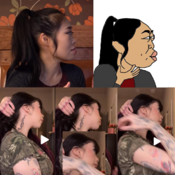 1709137246577.png