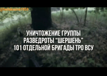 IMG_4975.jpeg
