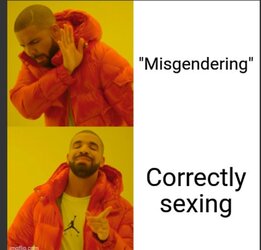 misgendering-correctly-sexing.jpg