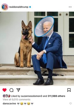 1709263923685.jpeg