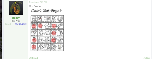 bingo1.png