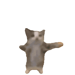 happy-cat-happy-happy-cat.gif