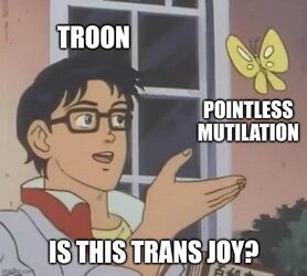 8hr953.jpg