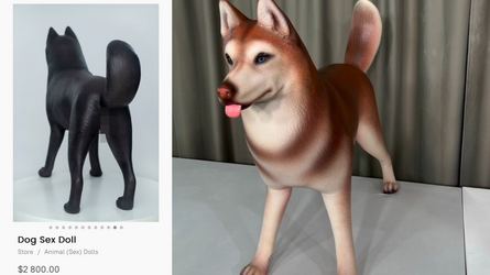 1709412999439.png