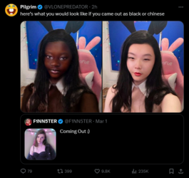f1nn5ter-black-or-chinese.png