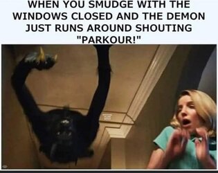 B621F342-99DB-4C2A-B43E-3491403E678E.jpeg