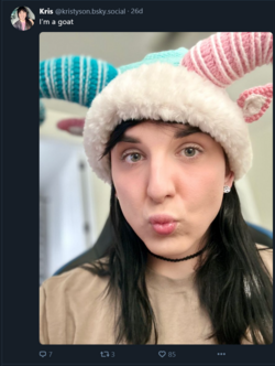 FireShot Capture 778 - Kris (@kristyson.bsky.social) — Bluesky - bsky.app.png