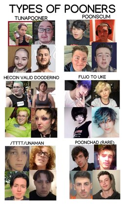 pooner types.jpg