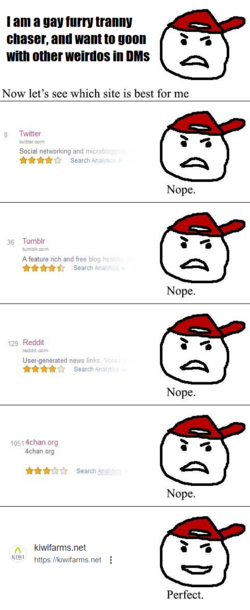 kiwifarms dm.png