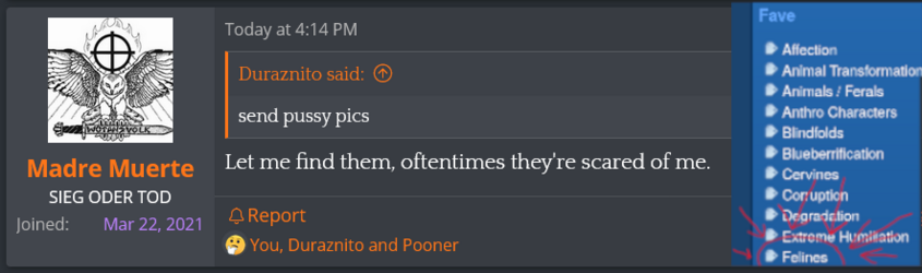 wonderwhy.png