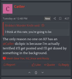Screenshot_20240303-193335~2.png