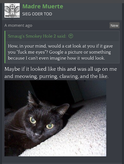 1709509427553.png
