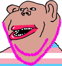 IMG_5073.png