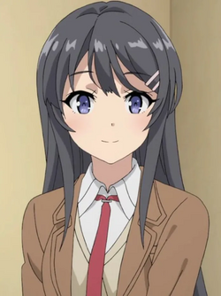 1709511207514.png