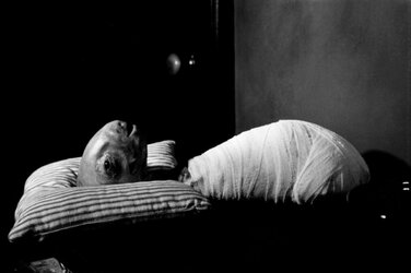 IMG_9059.jpeg