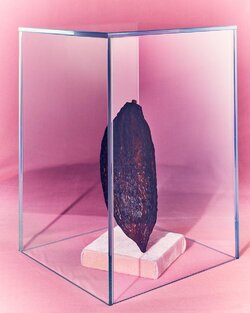 choc03.jpg choc03.jpg