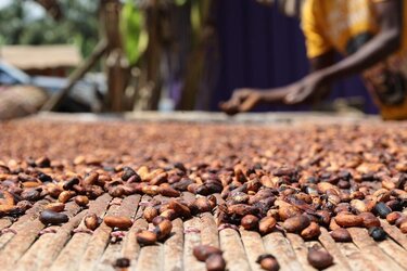 choc04.jpg choc04.jpg