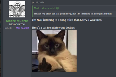 1709527235263.png