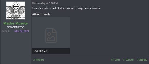 Screen Shot 2024-03-04 at 1.32.06 AM.png