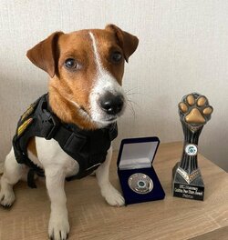 Patron_with_Golden_Paw_award.jpg
