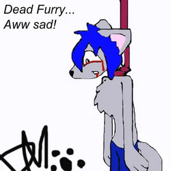 1709578077800.png