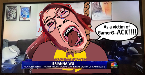 Troon gamergate.png