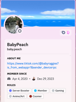 1709634869607.png