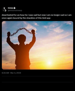 1709636005198.png 1709636005198.png