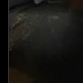 boogie.png