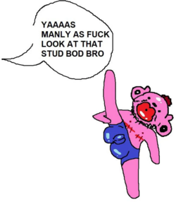 stud bod.png