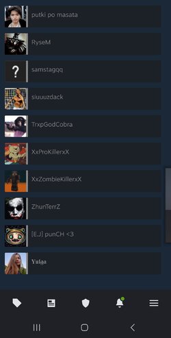 Screenshot_20240306_160212_Steam.jpg