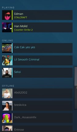 Screenshot_20240306_160041_Steam.jpg