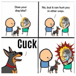 10.PNG