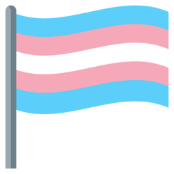 JoyPixels_Transgender-flag.svg.png
