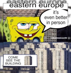 1709788495180.png