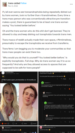 transandrophobia.png