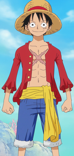 Monkey_D._Luffy_Anime_Dos_Años_Después_Infobox.png
