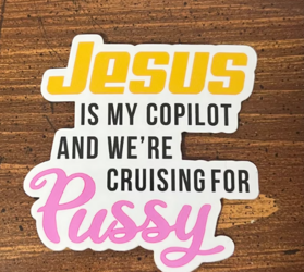 co pilot.PNG