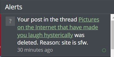 WTF.jpg