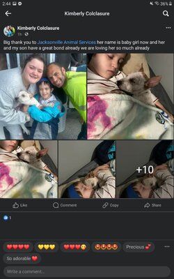 Screenshot_20240309-144406_Facebook.jpg